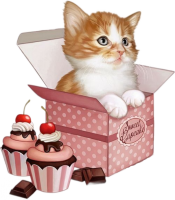 a cute kitty in a box